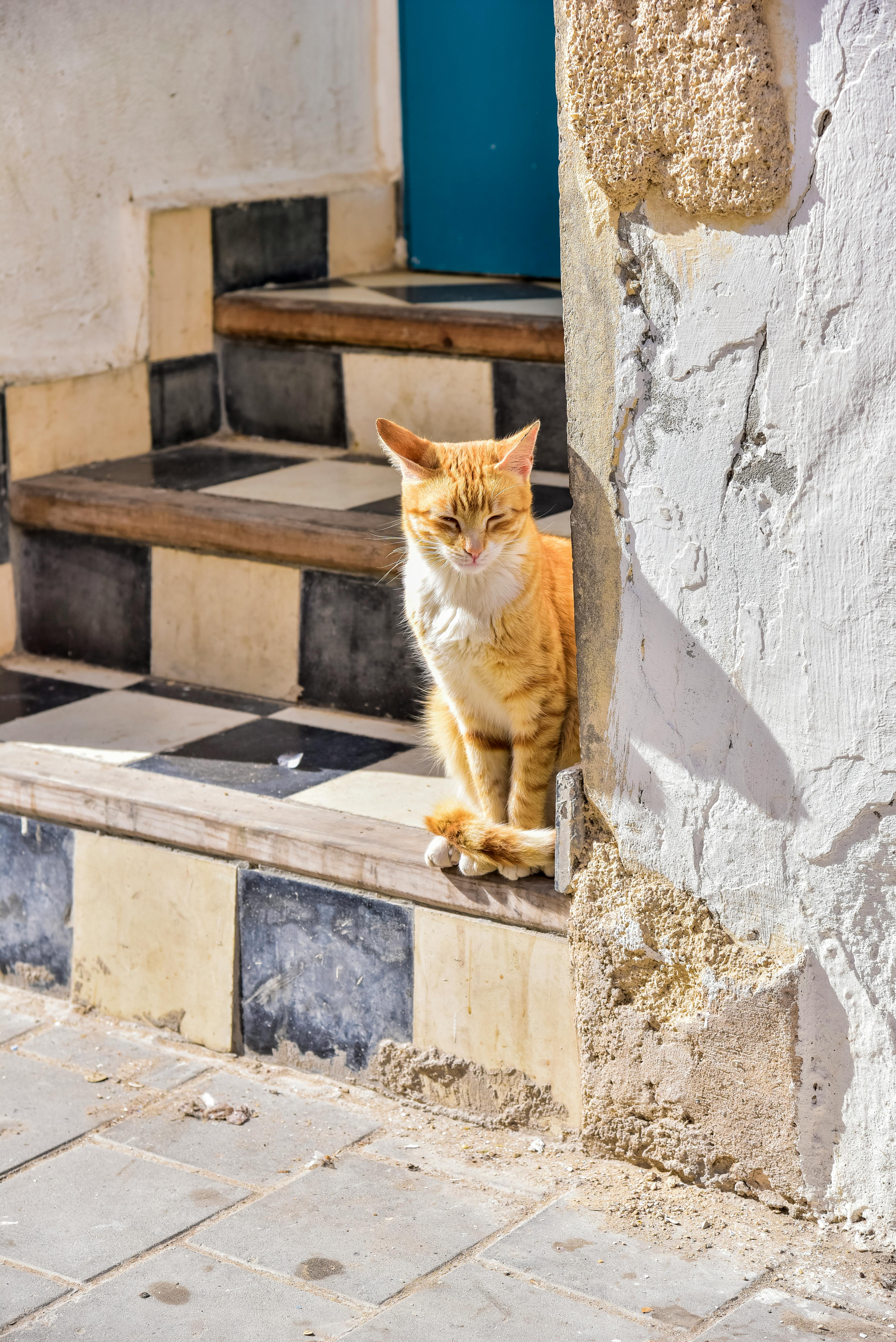 images\pexels-mag-photography-1501456-30588284.jpg